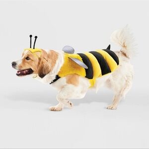 Bee Costume for Dogs - Yellow and Black